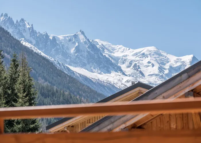 Spacieux Avec Vue Mont Blanc Sublime Chamonix